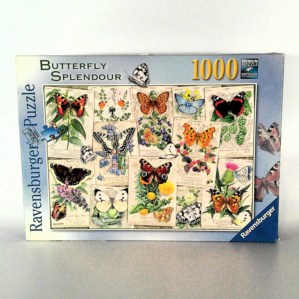 Butterfly Splendour