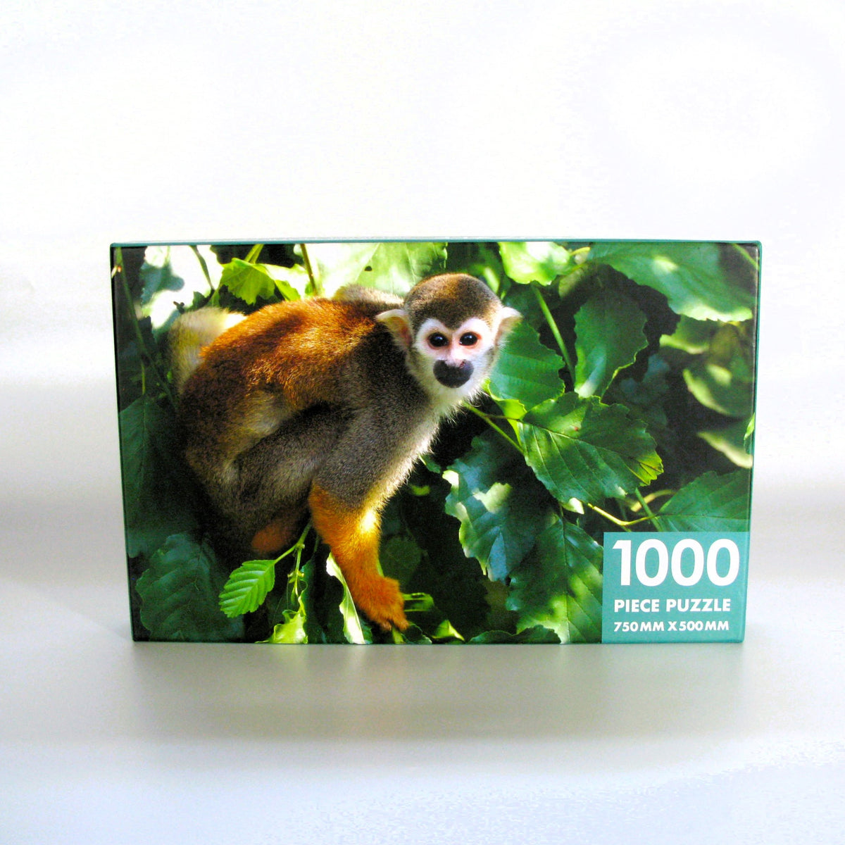Squirrel Monkey
